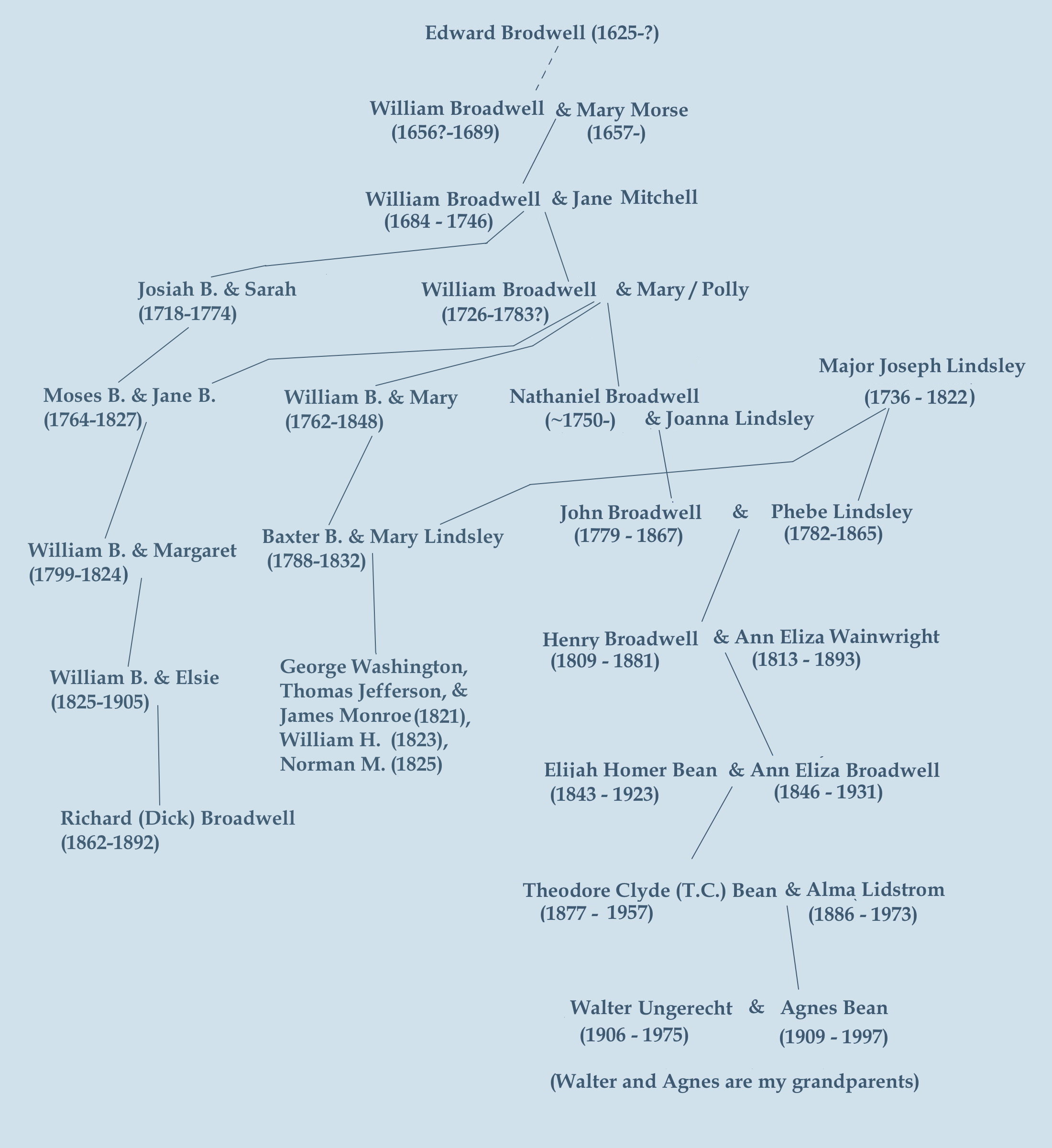 family tree overview